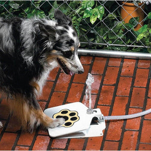 Dog Fountain PRO™ | Halten Sie Ihren Hund spielerisch und hydriert!