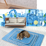 Cool Mat™ | Kühlen Sie Ihren Hund an heißen Tagen!